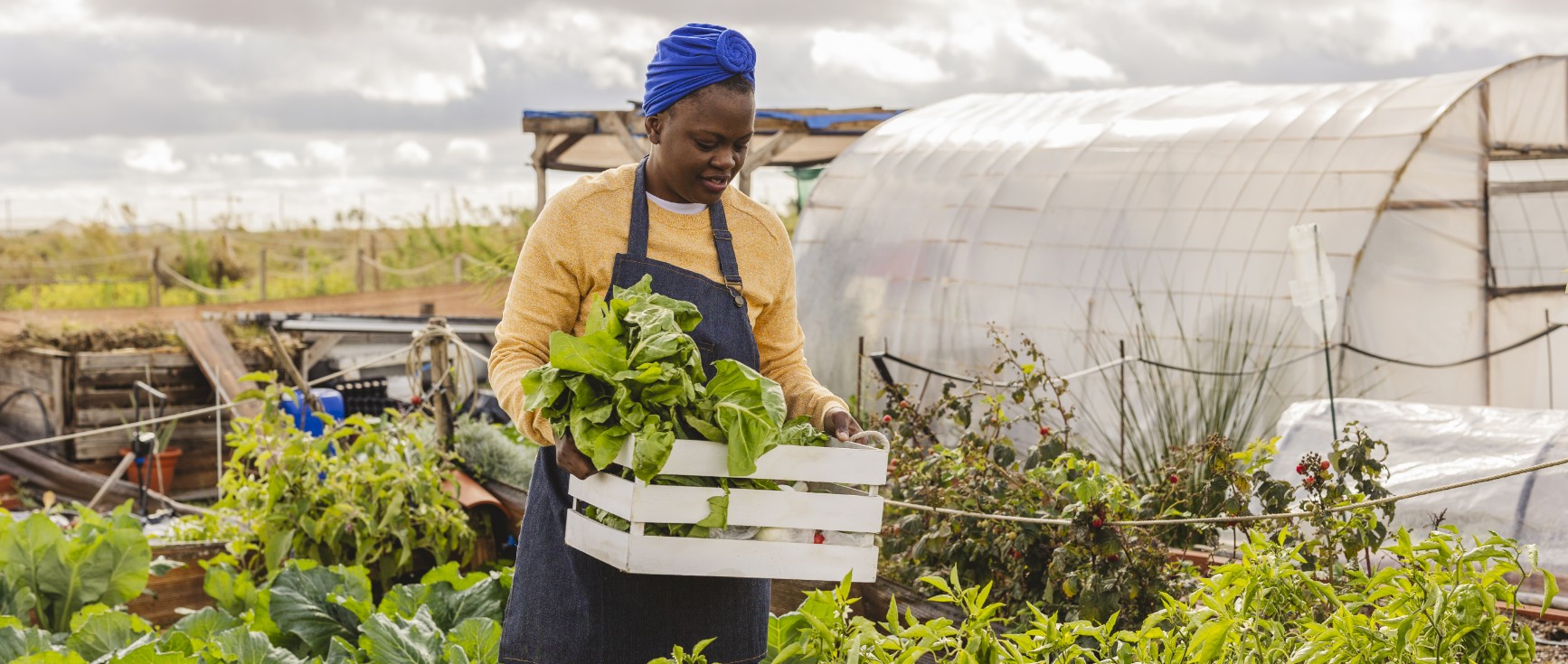 VisionAfrica, our story