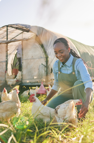 VisionAfrica - tailored solutions - Agriculture