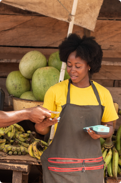 VisionAfrica - tailored solutions - Financial Services