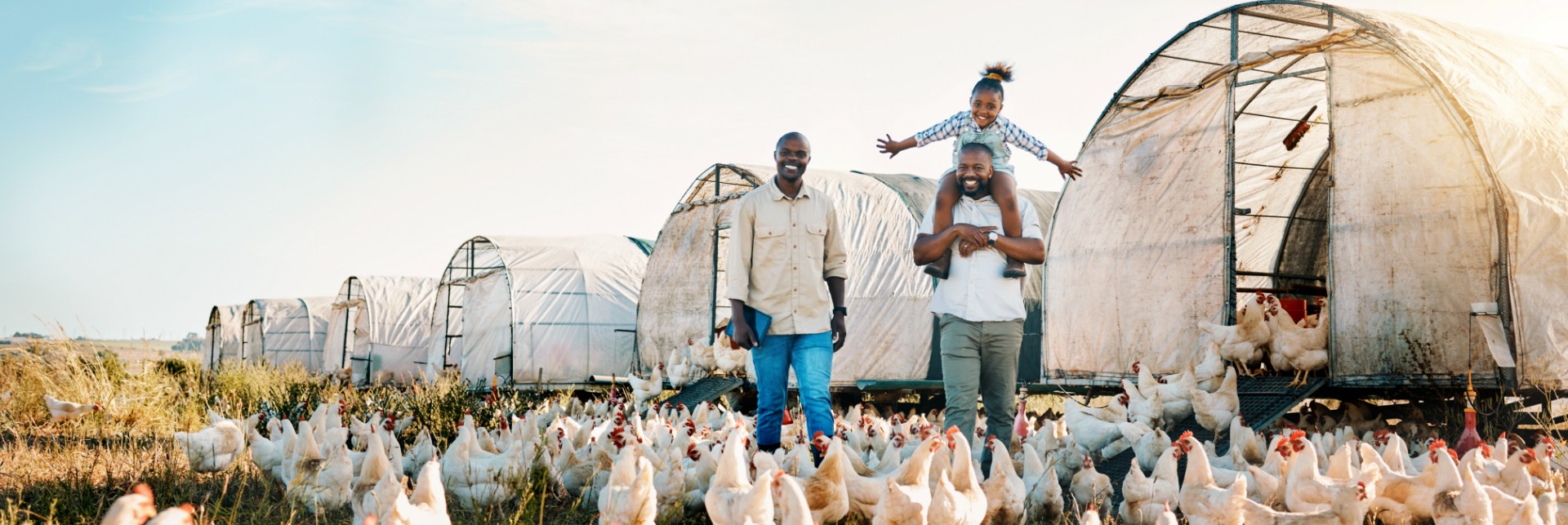 VisionAfrica - Our Projects