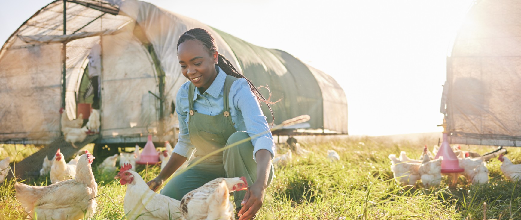 VisionAfrica - Our divisions - Agriculture